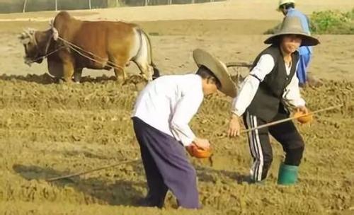 山東爭取合法權(quán)益系列之：信息公開不作為，爭取合法權(quán)益要積極