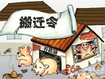 安徽養殖場拆遷案：“命運多舛”的養雞場