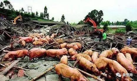 養殖戶遇到不合理拆除要注意這四點！  