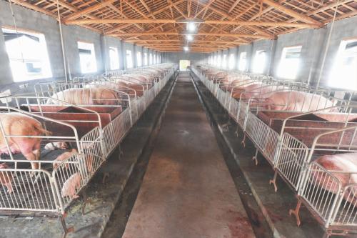 湖北省拆遷案例：預售房雖便宜，切不可掉以輕心！