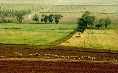 農村征收案例：行政復議機關不得以對補正資料不符合要求為由將復議申請作申請人自動放