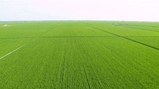 自家土地是國有土地還是集體土地？圣運律師教你如何區分！