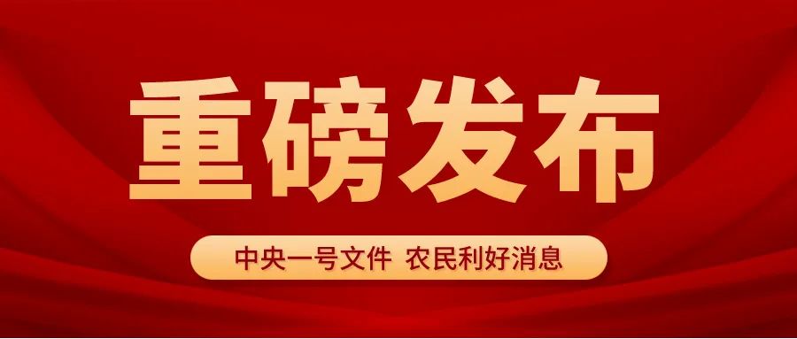 圣運速遞：2024中央一號文件解讀，這些利好消息你還沒了解？
