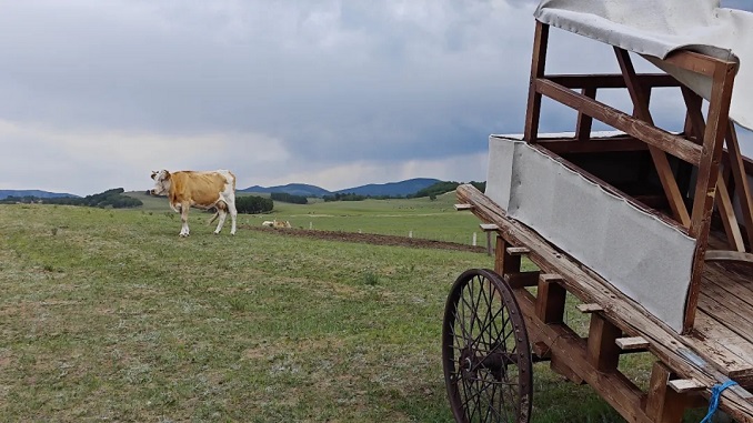 江蘇勝案：農用設施被違法強制拆除，圣運律師助力維權獲勝！